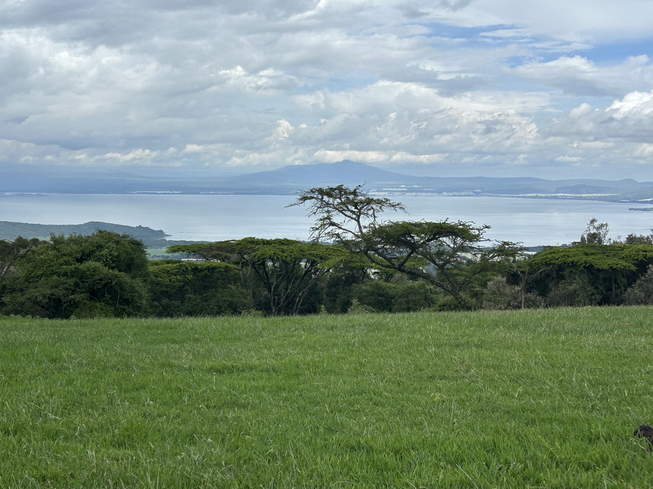 Rangeland above Lake Naivasha, Rift Valley