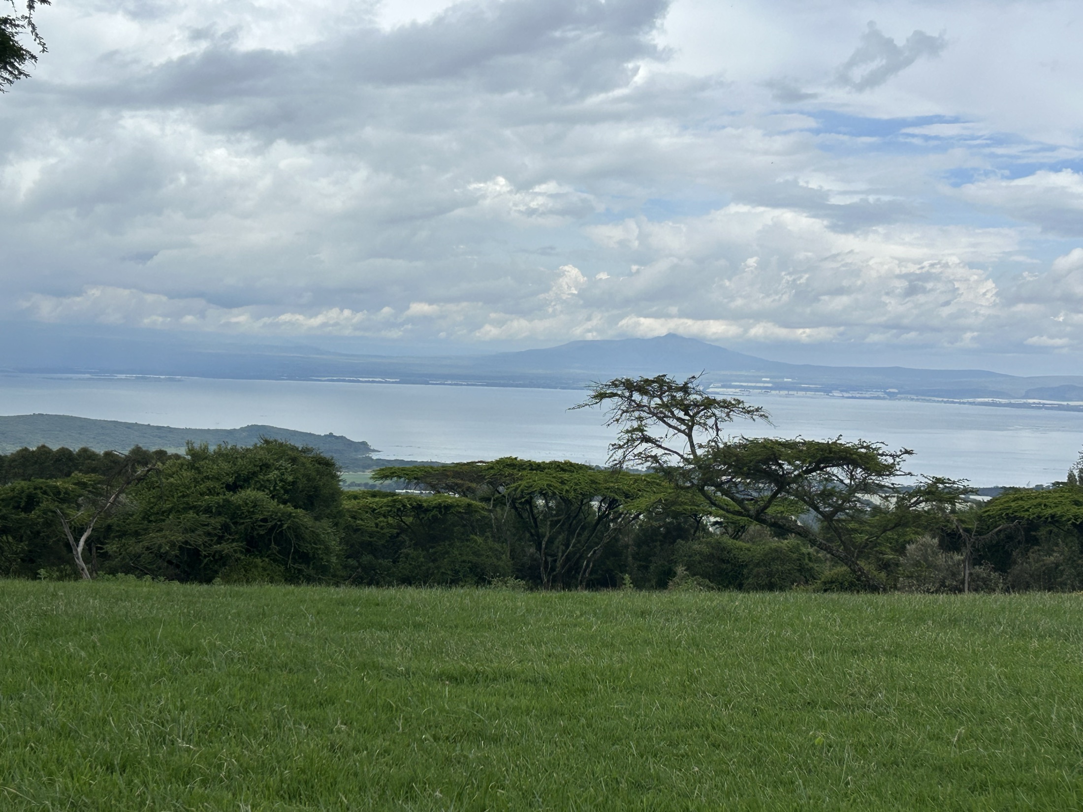 Rangeland and Lake Naivasha with Mount Longonot beyond, Rift Valley